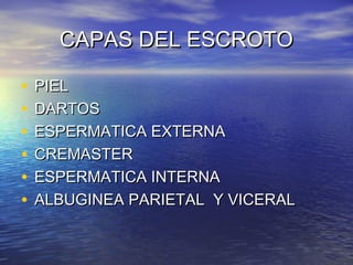 CAPAS DEL ESCROTOCAPAS DEL ESCROTO
• PIELPIEL
• DARTOSDARTOS
• ESPERMATICA EXTERNAESPERMATICA EXTERNA
• CREMASTERCREMASTER
• ESPERMATICA INTERNAESPERMATICA INTERNA
• ALBUGINEA PARIETAL Y VICERALALBUGINEA PARIETAL Y VICERAL
 