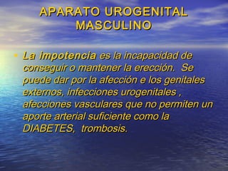 APARATO UROGENITALAPARATO UROGENITAL
MASCULINOMASCULINO
• La impotenciaLa impotencia es la incapacidad dees la incapacidad de
conseguir o mantener la erección. Seconseguir o mantener la erección. Se
puede dar por la afección e los genitalespuede dar por la afección e los genitales
externos, infecciones urogenitales ,externos, infecciones urogenitales ,
afecciones vasculares que no permiten unafecciones vasculares que no permiten un
aporte arterial suficiente como laaporte arterial suficiente como la
DIABETES, trombosis.DIABETES, trombosis.
 