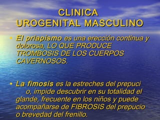 CLINICACLINICA
UROGENITAL MASCULINOUROGENITAL MASCULINO
• El priapismoEl priapismo es una erección continua yes una erección continua y
dolorosa, LO QUE PRODUCEdolorosa, LO QUE PRODUCE
TROMBOSIS DE LOS CUERPOSTROMBOSIS DE LOS CUERPOS
CAVERNOSOS.CAVERNOSOS.
• La fimosisLa fimosis es la estreches del prepucies la estreches del prepuci
o, impide descubrir en su totalidad elo, impide descubrir en su totalidad el
glande, frecuente en los niños y puedeglande, frecuente en los niños y puede
acompañarse de FIBROSIS del prepucioacompañarse de FIBROSIS del prepucio
o brevedad del frenillo.o brevedad del frenillo.
 