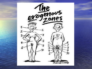 Urogenital masculino