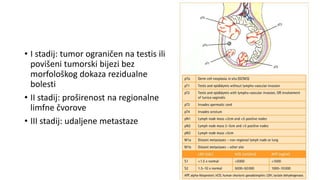 Gradja Testisa UROGENITALNI TUMORI.pptx