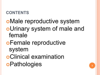 CONTENTS
Male reproductive system
Urinary system of male and
female
Female reproductive
system
Clinical examination
Pathologies 2
 