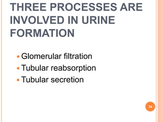 THREE PROCESSES ARE
INVOLVED IN URINE
FORMATION
 Glomerular filtration
 Tubular reabsorption
 Tubular secretion
34
 