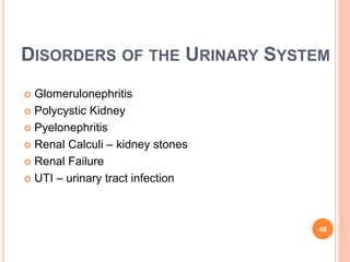 DISORDERS OF THE URINARY SYSTEM
 Glomerulonephritis
 Polycystic Kidney
 Pyelonephritis
 Renal Calculi – kidney stones
 Renal Failure
 UTI – urinary tract infection
48
 
