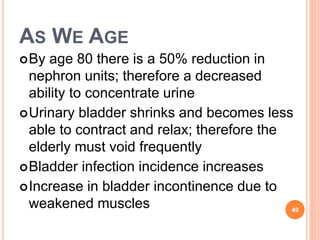 AS WE AGE
By age 80 there is a 50% reduction in
nephron units; therefore a decreased
ability to concentrate urine
Urinary bladder shrinks and becomes less
able to contract and relax; therefore the
elderly must void frequently
Bladder infection incidence increases
Increase in bladder incontinence due to
weakened muscles 49
 