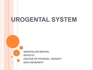 UROGENTAL SYSTEM
QURATULAIN MUGHAL
BATCH IV
DOCTOR OF PHYSICAL THERAPY
ISRA UNIVERSITY
1
 