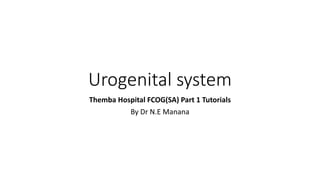 Urogenital system
Themba Hospital FCOG(SA) Part 1 Tutorials
By Dr N.E Manana
 