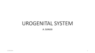 UROGENITAL SYSTEM
A. SUNUSI
21/03/2024 1
 