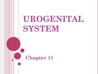 UROGENITAL
SYSTEM


Chapter 11
 