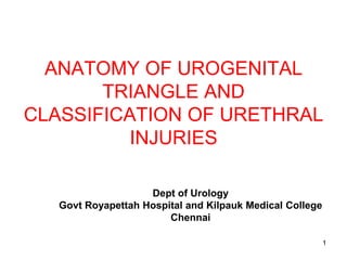 ANATOMY OF UROGENITAL
TRIANGLE AND
CLASSIFICATION OF URETHRAL
INJURIES
Dept of Urology
Govt Royapettah Hospital and Kilpauk Medical College
Chennai
1
 