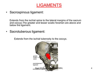 LIGAMENTS
• Sacrospinous ligament:
Extends from the ischial spine to the lateral margins of the sacrum
and coccyx.The greater and lesser sciatic foramen are above and
below the ligament.
• Sacrotuberous ligament:
Extends from the ischial tuberosity to the coccyx.
Dept Of Urology, KMC and GRH,
Chennai
4
 