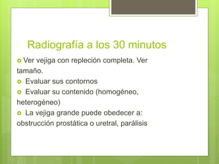 Radiografía a los 30 minutos
 Ver vejiga con repleción completa. Ver
tamaño.
 Evaluar sus contornos
 Evaluar su contenido (homogéneo,
heterogéneo)
 La vejiga grande puede obedecer a:
obstrucción prostática o uretral, parálisis
 