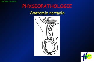 PHYSIOPATHOLOGIE Anatomie normale 