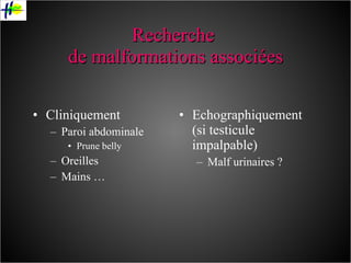 Recherche  de malformations associées Cliniquement Paroi abdominale Prune belly Oreilles Mains … Echographiquement (si testicule impalpable) Malf urinaires ? 