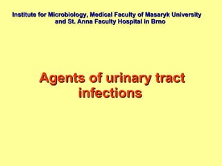Institute  for  Microbiology, Medical Faculty of Masaryk University  and St. Anna Faculty Hospital  in Brno Agents of urinary tract infections  