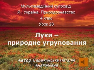 Мультимедійний супровідМультимедійний супровід
Я і Україна. ПриродознавствоЯ і Україна. Природознавство
4 клас4 клас
Урок 28Урок 28
АвторАвтор Саражинська НаталіяСаражинська Наталія
АнатоліївнаАнатоліївна
 