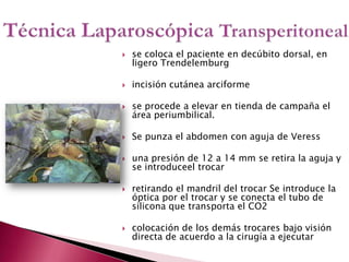 Técnica Laparoscópica Transperitonealse coloca el paciente en decúbito dorsal, en ligero Trendelemburgincisión cutánea arciformese procede a elevar en tienda de campaña el área periumbilical.Se punza el abdomen con aguja de Veressuna presión de 12 a 14 mmse retira la aguja y se introduceel trocar retirando el mandril del trocar Se introduce la óptica por el trocar y se conecta el tubo de silicona que transporta el CO2colocación de los demás trocares bajo visión directa de acuerdo a la cirugía a ejecutar