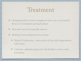 Renal calculi presentation image