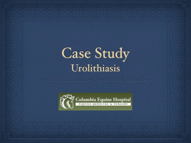 Kidney stone history image