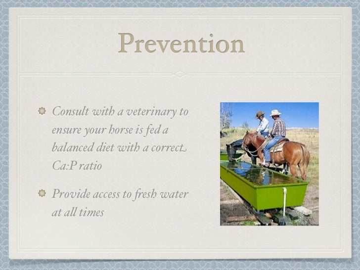 Kidney stone case study pdf image