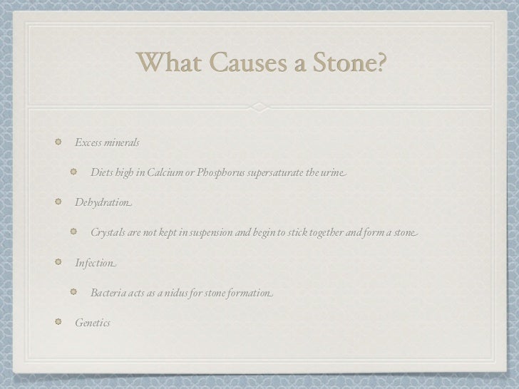 Case study urolithiasis image