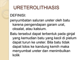 Pielum Urolithiasis | PPTX
