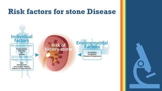 Risk factors for stone Disease
 