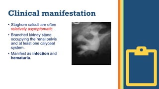 Clinical manifestation
• Staghorn calculi are often
relatively asymptomatic.
• Branched kidney stone
occupying the renal pelvis
and at least one calyceal
system.
• Manifest as infection and
hematuria.
 