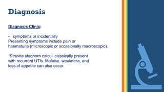 Diagnosis
Diagnosis Clinic:
• symptoms or incidentally
Presenting symptoms include pain or
haematuria (microscopic or occasionally macroscopic).
*Struvite staghorn calculi classically present
with recurrent UTIs. Malaise, weakness, and
loss of appetite can also occur.
 