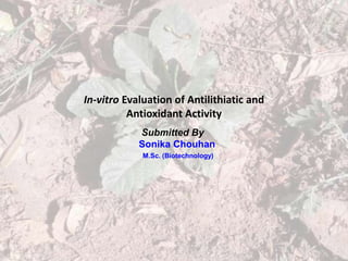 In-vitro Evaluation of Antilithiatic and
Antioxidant Activity
Submitted By
Sonika Chouhan
M.Sc. (Biotechnology)
 