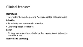 Clinical features
Hematuria
• Intermittent gross hematuria / occasional tea coloured urine
Infection
• Struvite stones common in infection
• Calcium phosphate stones
Fever
• Signs of urosepsis: fever, tachycardia, hypotension, cutaneous
vasodilatation
Nausea and Vomiting
 