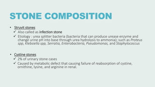STONE COMPOSITION
• Struvit stones
 Also called as infection stone
 Etiology : urea splitter bacteria (bacteria that can produce urease enzyme and
change urine pH into base through urea hydrolysis to ammonia); such as Proteus
spp, Klebsiella spp, Serratia, Enterobacteria, Pseudomonas, and Staphylococcus
• Cystine stones
 2% of urinary stone cases
 Caused by metabolic defect that causing failure of reabsorption of cystine,
ornithine, lysine, and arginine in renal.
 