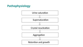 G
G
G
G
Urine saturation
Supersaturation
Crystal neucleation
Aggregation
Retention and growth
Pathophysiology
 