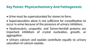 • Urine must be supersaturated for stones to form.
• Supersaturation alone is not sufficient for crystallization to
occur in urine because of the presence of urinary inhibitors.
• Nephrocalcin, uropontin, and Tamm-Horsfall proteins are
important inhibitors of crystal nucleation, growth, or
aggregation.
• Urinary calcium and oxalate contribute equally to urinary
saturation of calcium oxalate.
Key Points: Physicochemistry And Pathogenesis
 