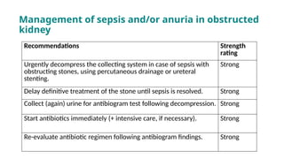 Management of sepsis and/or anuria in obstructed
kidney
Recommendations Strength
rating
Urgently decompress the collecting system in case of sepsis with
obstructing stones, using percutaneous drainage or ureteral
stenting.
Strong
Delay definitive treatment of the stone until sepsis is resolved. Strong
Collect (again) urine for antibiogram test following decompression. Strong
Start antibiotics immediately (+ intensive care, if necessary). Strong
Re-evaluate antibiotic regimen following antibiogram findings. Strong
 