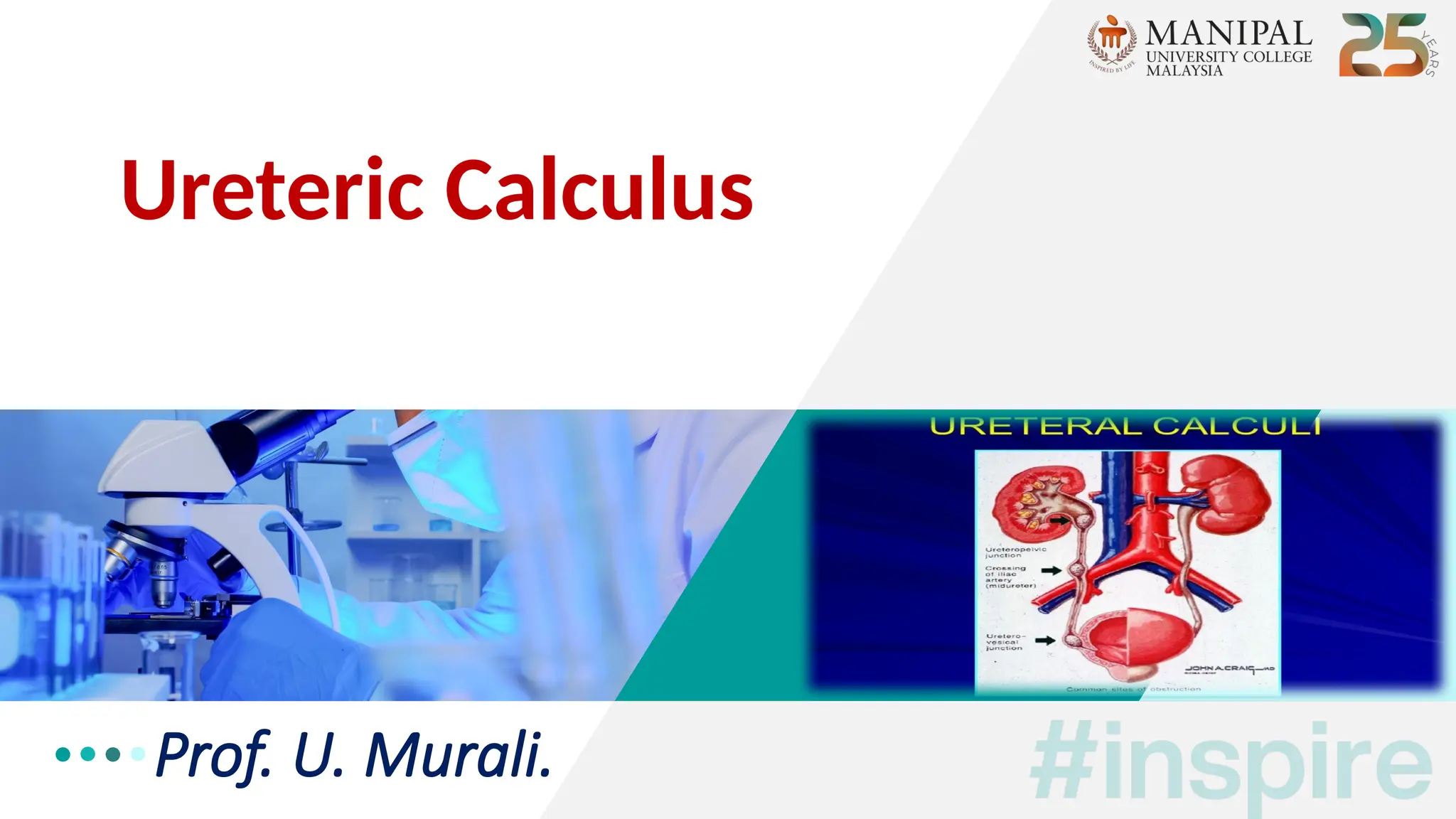 Prof. U. Murali.
Ureteric Calculus
 