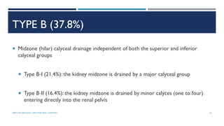 TYPE B (37.8%)
 Midzone (hilar) calyceal drainage independent of both the superior and inferior
calyceal groups
 Type B‐I (21.4%): the kidney midzone is drained by a major calyceal group
 Type B‐II (16.4%): the kidney midzone is drained by minor calyces (one to four)
entering directly into the renal pelvis
23
DEPT OF UROLOGY, GRH AND KMC, CHENNAI.
 