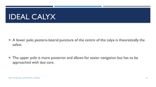 IDEAL CALYX
 A lower pole, postero-Iateral puncture of the centre of the calyx is theoretically the
safest.
 The upper pole is more posterior and allows for easier navigation but has to be
approached with due care.
63
DEPT OF UROLOGY, GRH AND KMC, CHENNAI.
 
