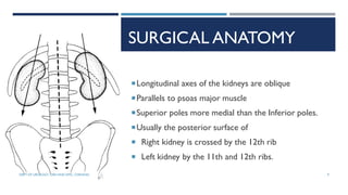 SURGICAL ANATOMY
Longitudinal axes of the kidneys are oblique
Parallels to psoas major muscle
Superior poles more medial than the Inferior poles.
Usually the posterior surface of
 Right kidney is crossed by the 12th rib
 Left kidney by the 11th and 12th ribs.
9
DEPT OF UROLOGY, GRH AND KMC, CHENNAI.
 