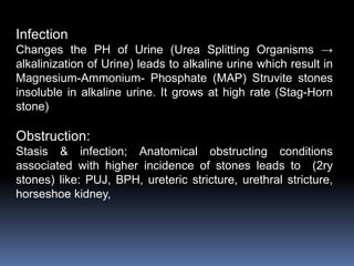 Infection
Changes the PH of Urine (Urea Splitting Organisms →
alkalinization of Urine) leads to alkaline urine which result in
Magnesium-Ammonium- Phosphate (MAP) Struvite stones
insoluble in alkaline urine. It grows at high rate (Stag-Horn
stone)
Obstruction:
Stasis & infection; Anatomical obstructing conditions
associated with higher incidence of stones leads to (2ry
stones) like: PUJ, BPH, ureteric stricture, urethral stricture,
horseshoe kidney,
 