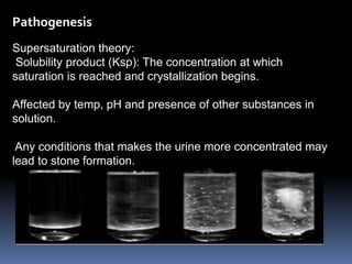 Pathogenesis
Supersaturation theory:
Solubility product (Ksp): The concentration at which
saturation is reached and crystallization begins.
Affected by temp, pH and presence of other substances in
solution.
Any conditions that makes the urine more concentrated may
lead to stone formation.
 