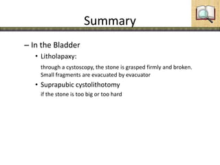 Summary
– In the Bladder
• Litholapaxy:
through a cystoscopy, the stone is grasped firmly and broken.
Small fragments are evacuated by evacuator
• Suprapubic cystolithotomy
if the stone is too big or too hard
 