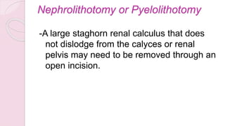 Nephrolithotomy or Pyelolithotomy
-A large staghorn renal calculus that does
not dislodge from the calyces or renal
pelvis may need to be removed through an
open incision.
 