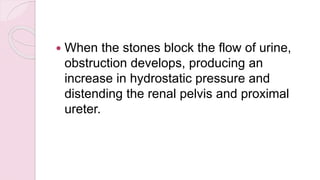 When the stones block the flow of urine,
obstruction develops, producing an
increase in hydrostatic pressure and
distending the renal pelvis and proximal
ureter.
 