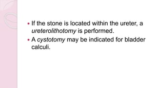 If the stone is located within the ureter, a
ureterolithotomy is performed.
 A cystotomy may be indicated for bladder
calculi.
 