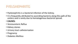 • Pyelonephritis is a bacterial infection of the kidney.
• It is frequently attributed to ascending bacteria along the path of the
ureters and is rarely due to hematogenous bacterial spread.
• CAUSES:
• Vesicoureteric Reflux
• Kidney stones
• Urinary tract catheterization
• Pregnancy
• Diabetes Mellitus
 