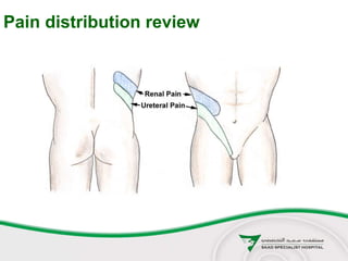 Pain distribution review
 