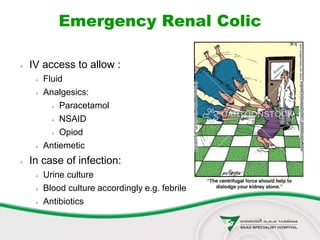 Emergency Renal Colic
 IV access to allow :
 Fluid
 Analgesics:
 Paracetamol
 NSAID
 Opiod
 Antiemetic
 In case of infection:
 Urine culture
 Blood culture accordingly e.g. febrile
 Antibiotics
 