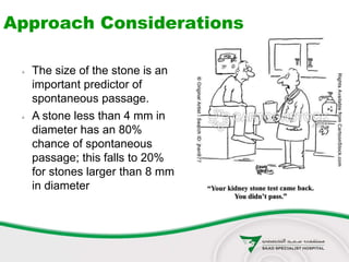 Approach Considerations
 The size of the stone is an
important predictor of
spontaneous passage.
 A stone less than 4 mm in
diameter has an 80%
chance of spontaneous
passage; this falls to 20%
for stones larger than 8 mm
in diameter
 