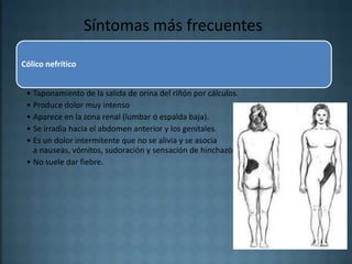 Síntomas más frecuentes

Cólico nefrítico


 • Taponamiento de la salida de orina del riñón por cálculos.
 • Produce dolor muy intenso
 • Aparece en la zona renal (lumbar ó espalda baja).
 • Se irradia hacia el abdomen anterior y los genitales.
 • Es un dolor intermitente que no se alivia y se asocia
   a nauseas, vómitos, sudoración y sensación de hinchazón abdominal.
 • No suele dar fiebre.
 